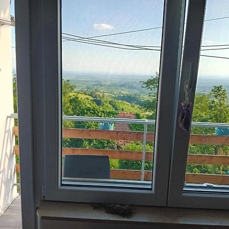 Holiday Home Nature Plesivica 亚斯特雷巴斯科 外观 照片