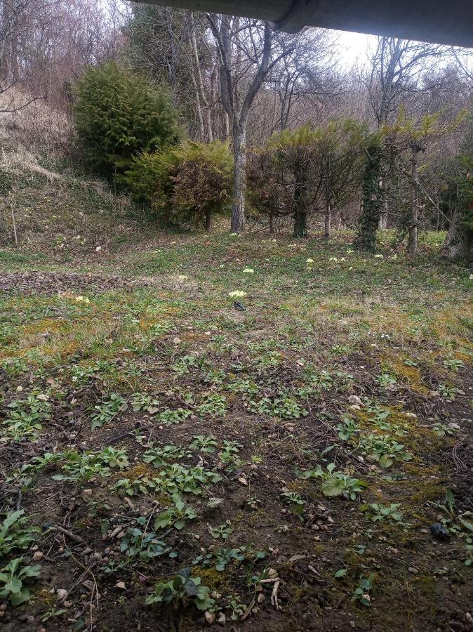 Holiday Home Nature Plesivica 亚斯特雷巴斯科 外观 照片