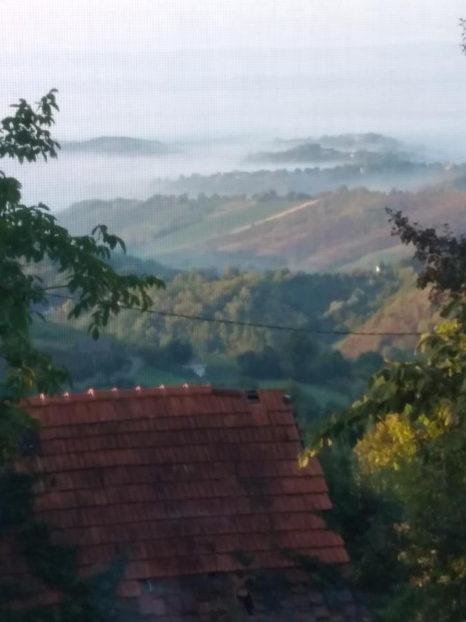 Holiday Home Nature Plesivica 亚斯特雷巴斯科 外观 照片