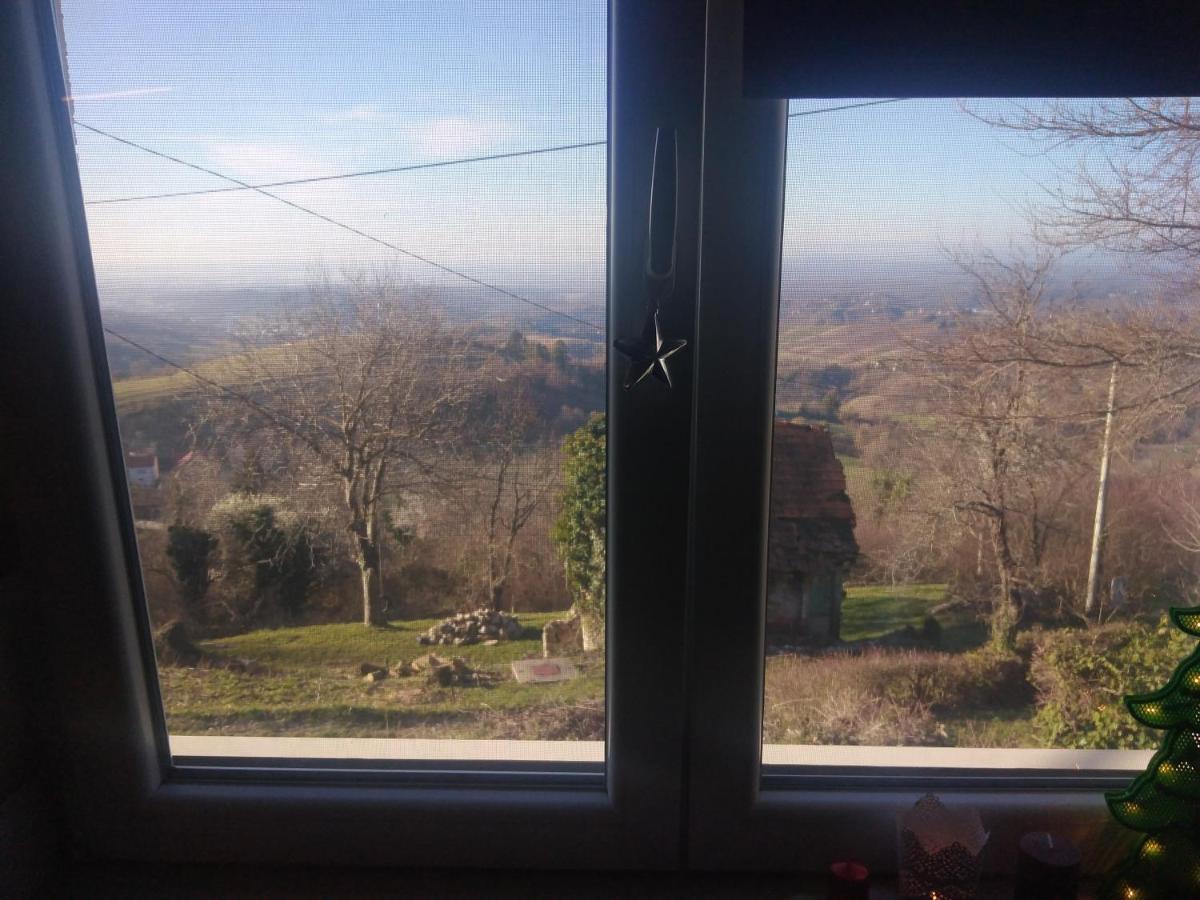 Holiday Home Nature Plesivica 亚斯特雷巴斯科 外观 照片