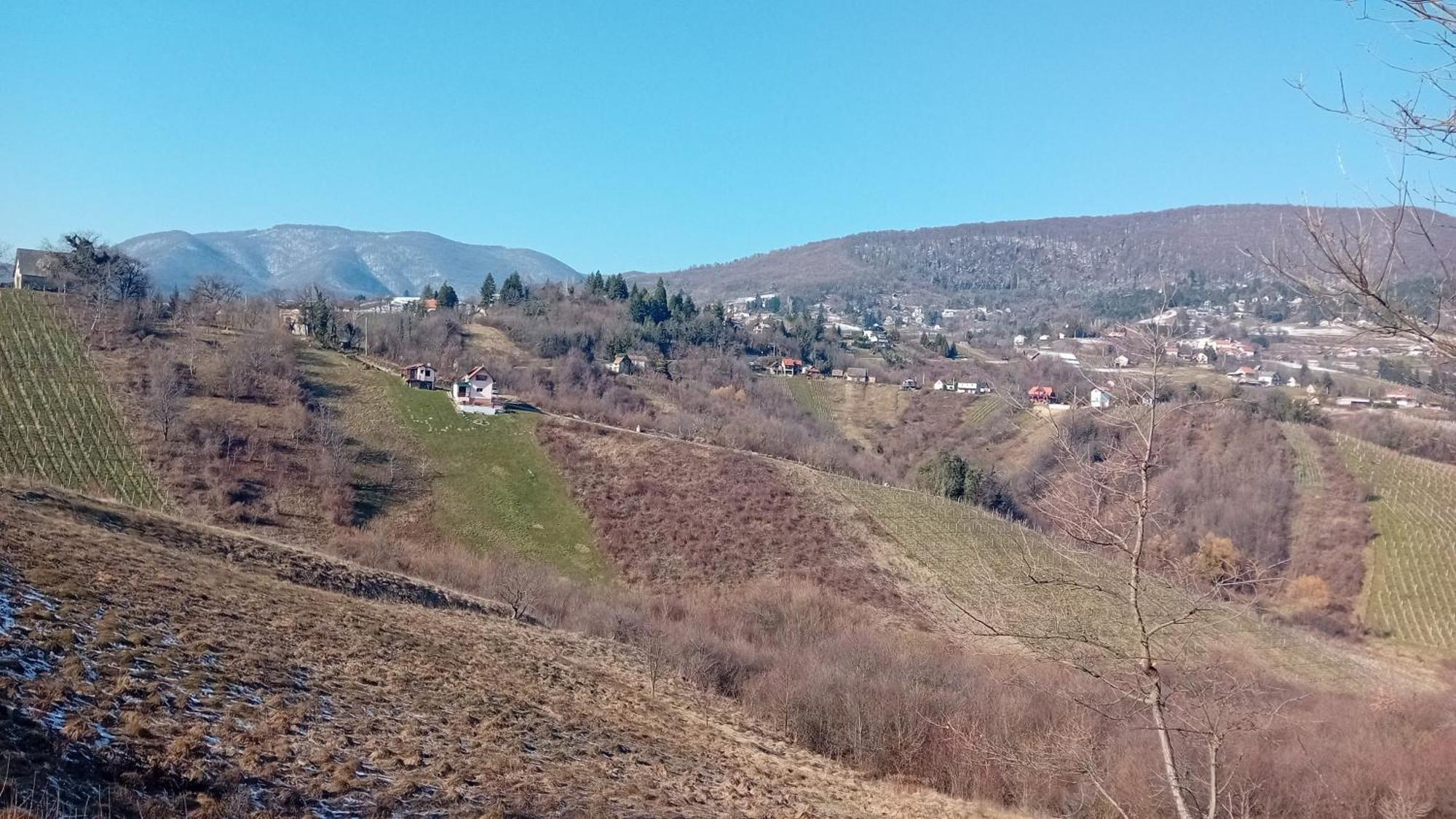 Holiday Home Nature Plesivica 亚斯特雷巴斯科 外观 照片