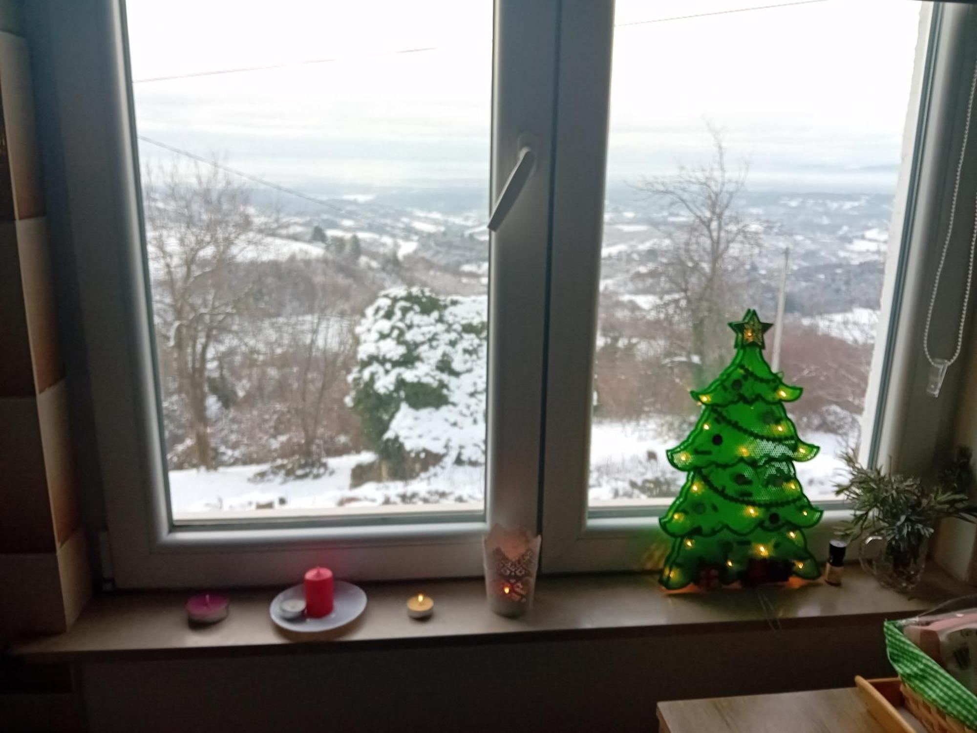 Holiday Home Nature Plesivica 亚斯特雷巴斯科 外观 照片